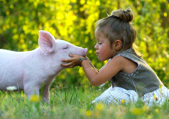Cosmetici Cruelty Free per capelli e pelle